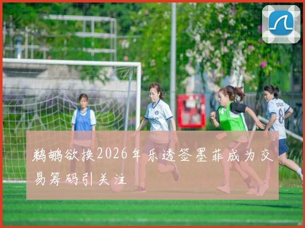 鹈鹕欲换2026年乐透签墨菲成为交易筹码引关注