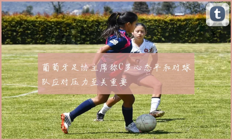 葡萄牙足协主席称C罗心态平和对球队应对压力至关重要