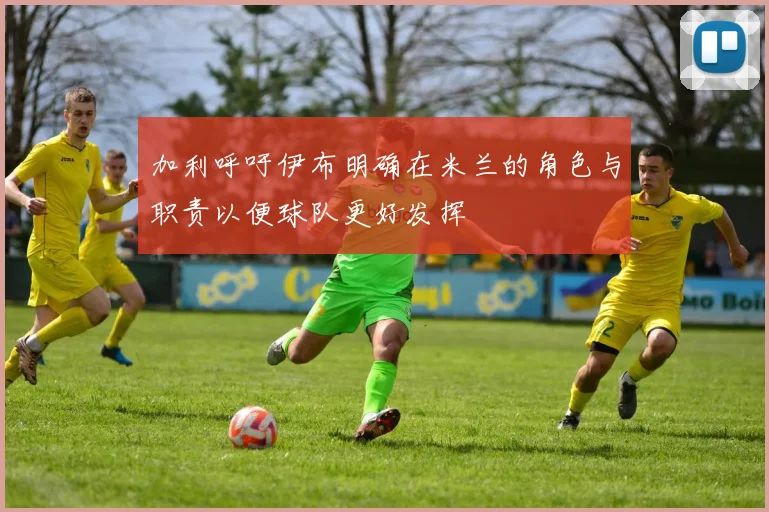 加利呼吁伊布明确在米兰的角色与职责以便球队更好发挥