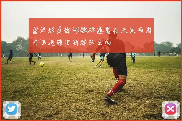 留洋球员徐彬魏祥鑫需在未来两周内迅速确定新球队去向
